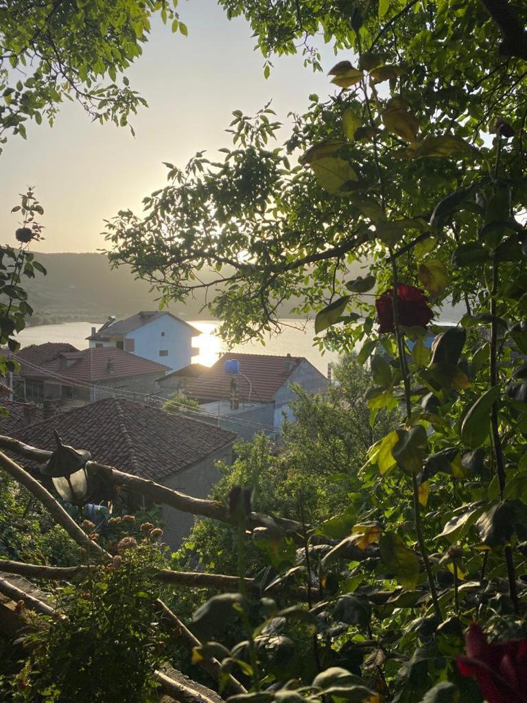 Roleo Guest House Lin Екстер'єр фото