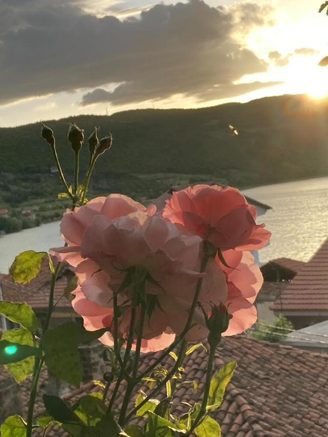Roleo Guest House Lin Екстер'єр фото