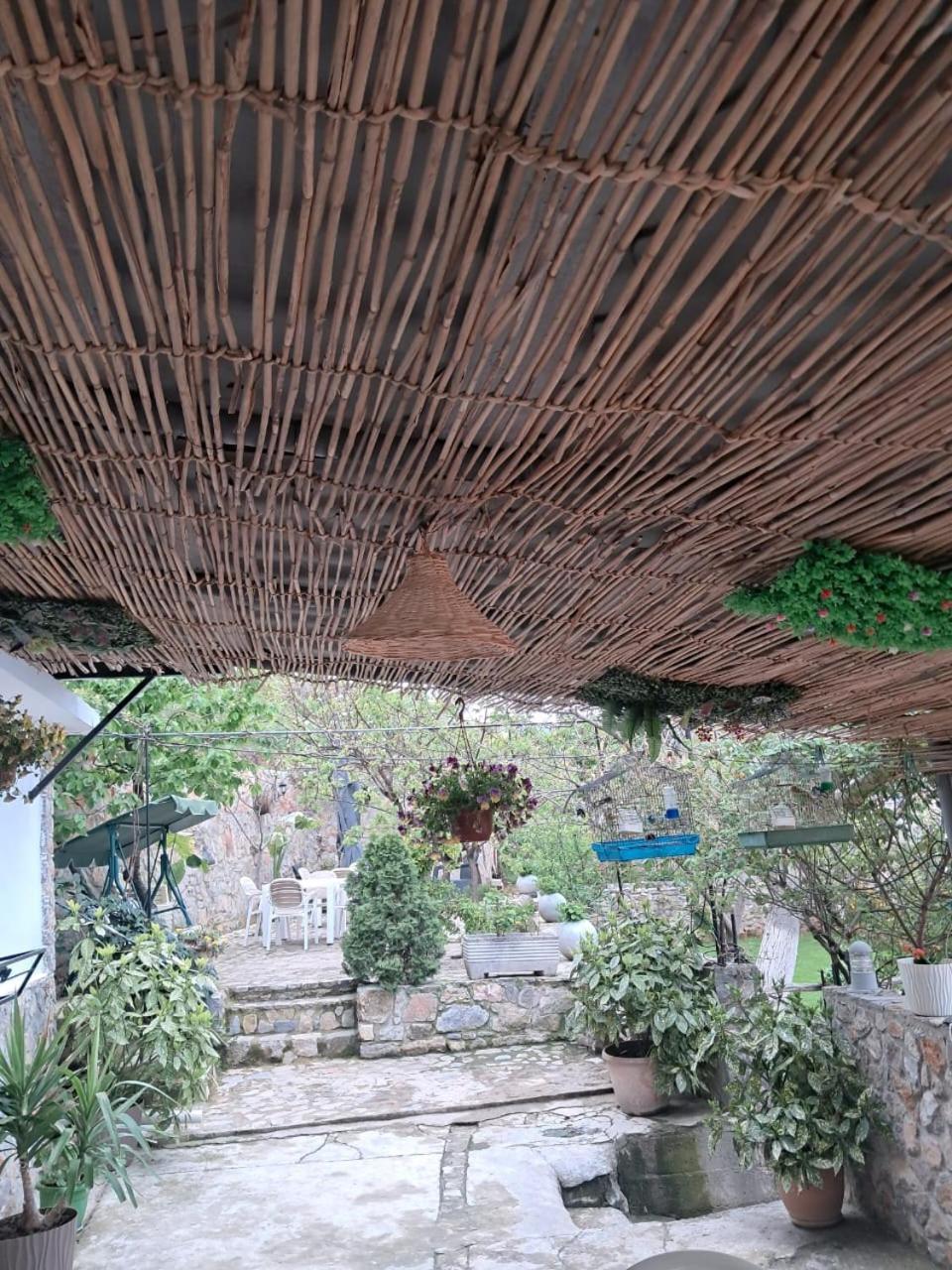 Roleo Guest House Lin Екстер'єр фото