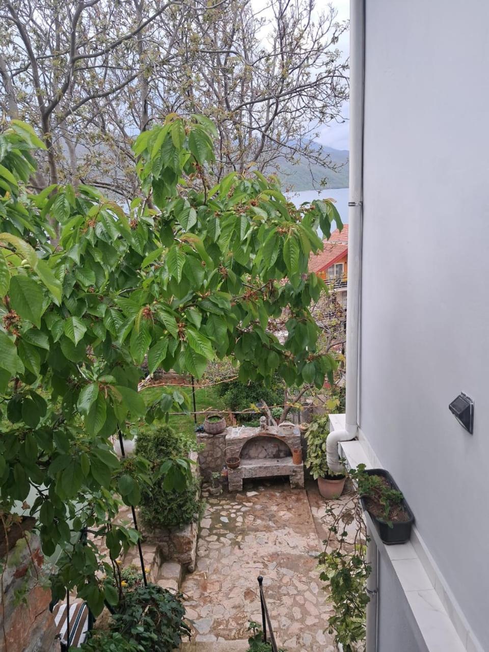 Roleo Guest House Lin Екстер'єр фото
